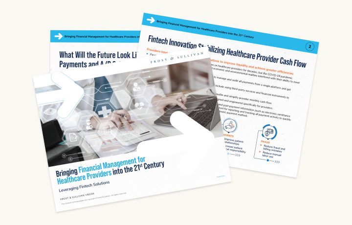 The cover and 2 inside pages of the e-book