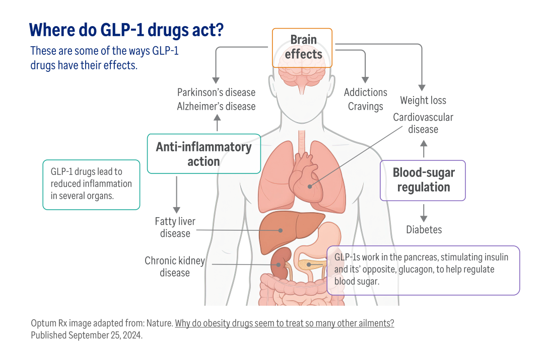Where do GLP-1 drugs act? 